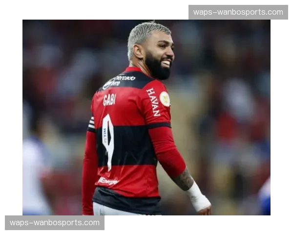 维萨19球射手加盟后迷失 喜鹊锋线引援评估失误